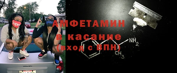шишки Абаза