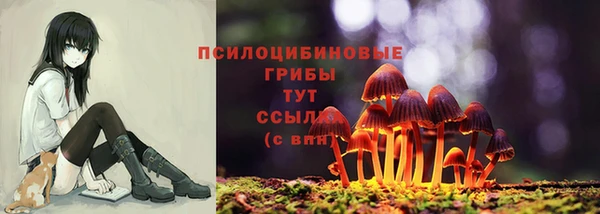 шишки Абаза