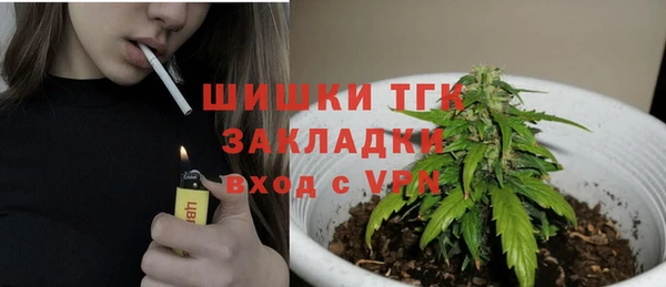 стаф Абдулино