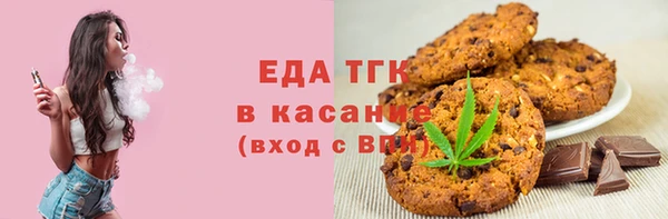 шишки Абаза