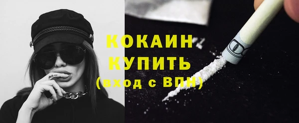 шишки Абаза