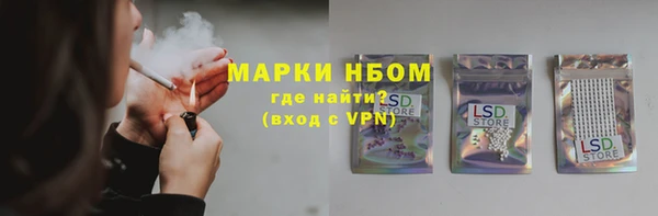 шишки Абаза