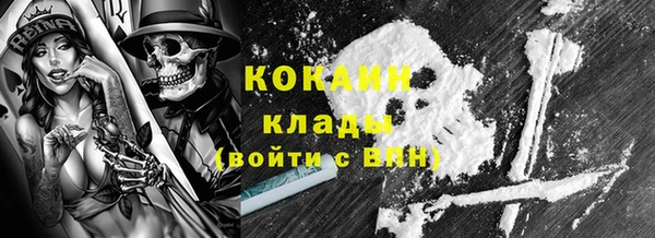 шишки Абаза