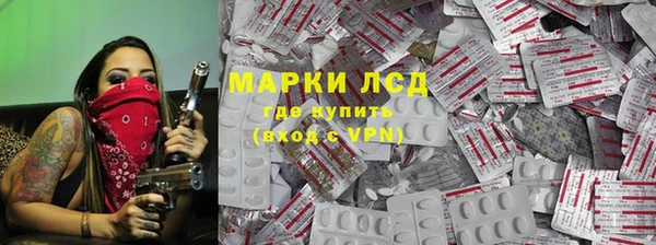 шишки Абаза