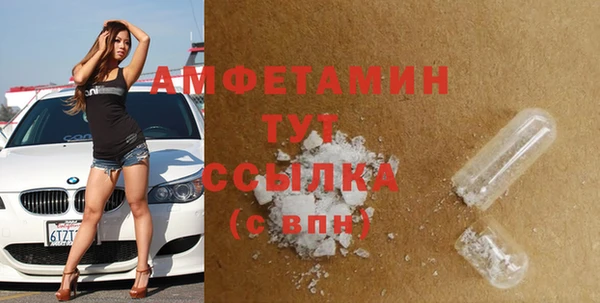 шишки Абаза